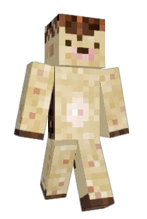 tma79 Minecraft avatar full body