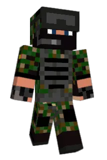 tmb_backfl1p Minecraft avatar full body