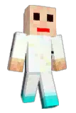 tmdwn Minecraft avatar full body