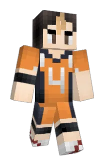 tneat Minecraft avatar full body