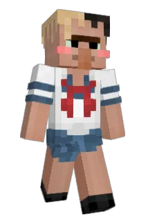toadd55 Minecraft avatar full body
