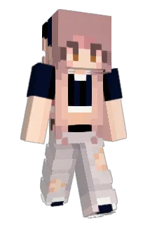 toadytoadytoady Minecraft avatar full body
