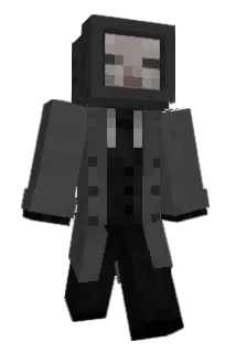 toasf Minecraft avatar full body