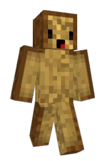 toastaid Minecraft avatar full body