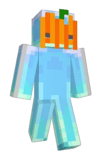 toastjava31 Minecraft avatar full body