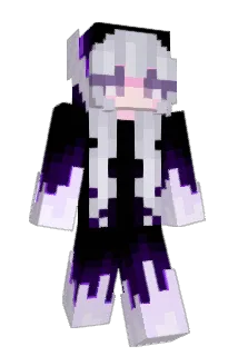 toastkilll Minecraft avatar full body