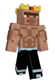 tobiasweber99 Minecraft avatar full body