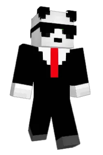 toddynhool Minecraft avatar full body