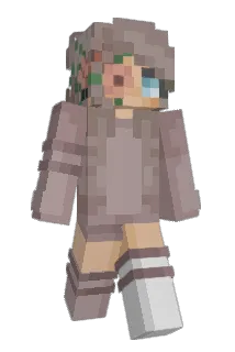 toeboi1 Minecraft avatar full body