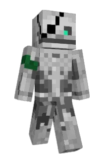 tofu_ninja989 Minecraft avatar full body