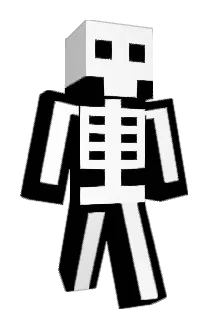 tofugirl14 Minecraft avatar full body