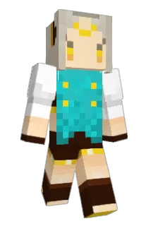 toi10 Minecraft avatar full body