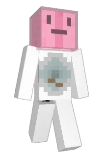 toiletbrain101 Minecraft avatar full body