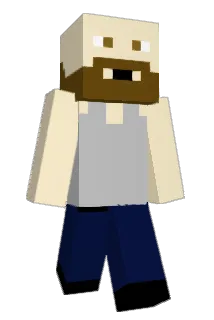 toipaster Minecraft avatar full body
