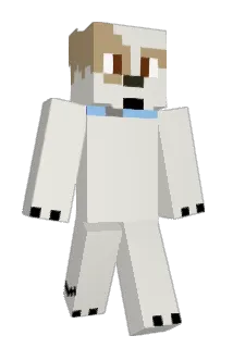 tojeye Minecraft avatar full body