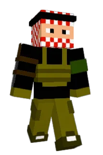tok8149 Minecraft avatar full body