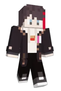 tolLB14 Minecraft avatar full body