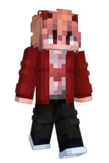 tomagon156 Minecraft avatar full body