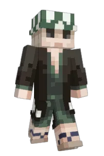 tomasi321r Minecraft avatar full body