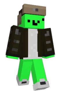tomatopineapple Minecraft avatar full body
