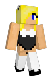 tomdomgo Minecraft avatar full body