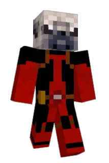 tomgamer33 Minecraft avatar full body
