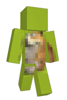tomimer Minecraft avatar full body