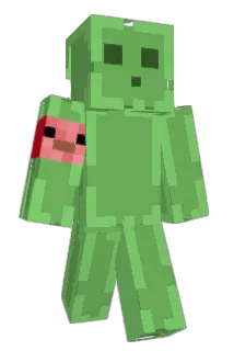 tomito1324 Minecraft avatar full body