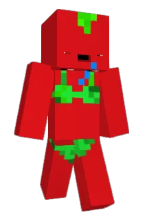 tomixx123 Minecraft avatar full body