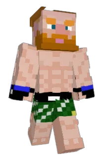 tommaire Minecraft avatar full body