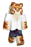 tommorerow Minecraft avatar full body