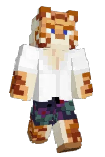 tommorerow Minecraft avatar full body