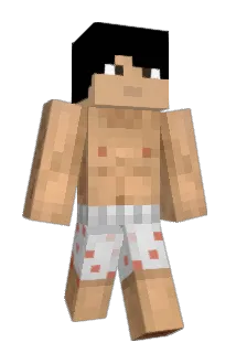 tommytomtom2001 Minecraft avatar full body