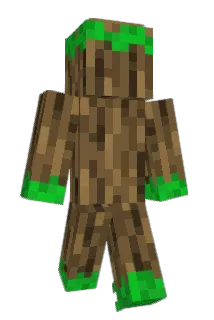 tomtiedom Minecraft avatar full body