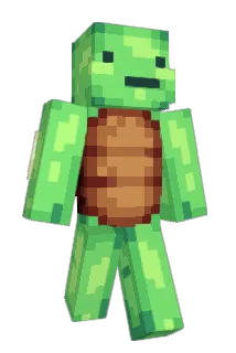 tomulik145 Minecraft avatar full body