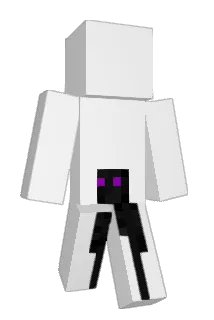 tomvanderzee Minecraft avatar full body