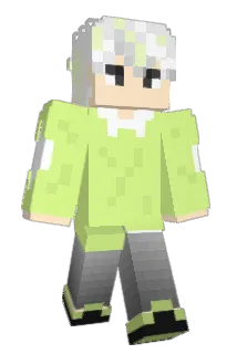 tomzou04 Minecraft avatar full body