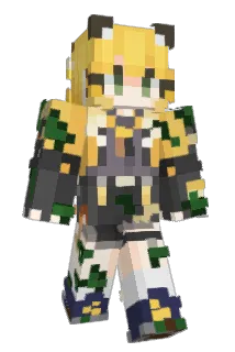 tona005 Minecraft avatar full body