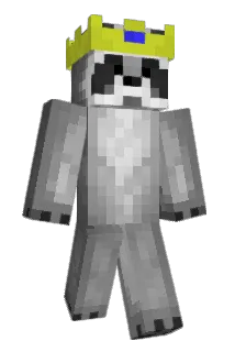 tondis3 Minecraft avatar full body