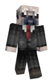 toninho09gamepla Minecraft avatar full body