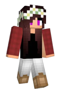 toolface101 Minecraft avatar full body