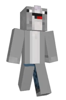 topapa Minecraft avatar full body