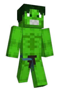 topkepter Minecraft avatar full body