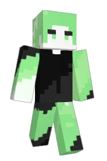topluck Minecraft avatar full body