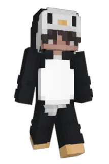 topupoo Minecraft avatar full body