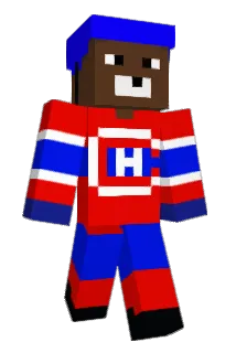 tornetz Minecraft avatar full body