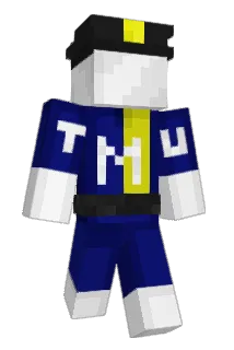 torontomet Minecraft avatar full body