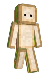 torren_ Minecraft avatar full body