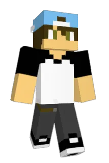 tort0ise Minecraft avatar full body
