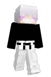 tortapro Minecraft avatar full body
